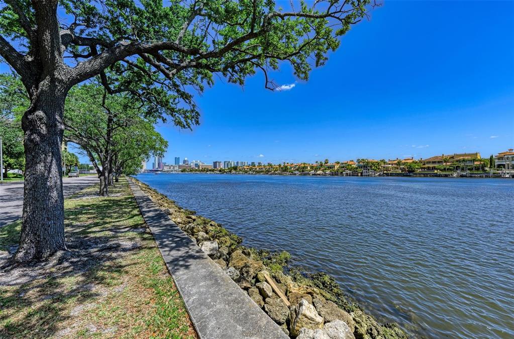232 Channel Drive Tampa, FL 33606 - Photo 16 of 21 a view of lake and mountain