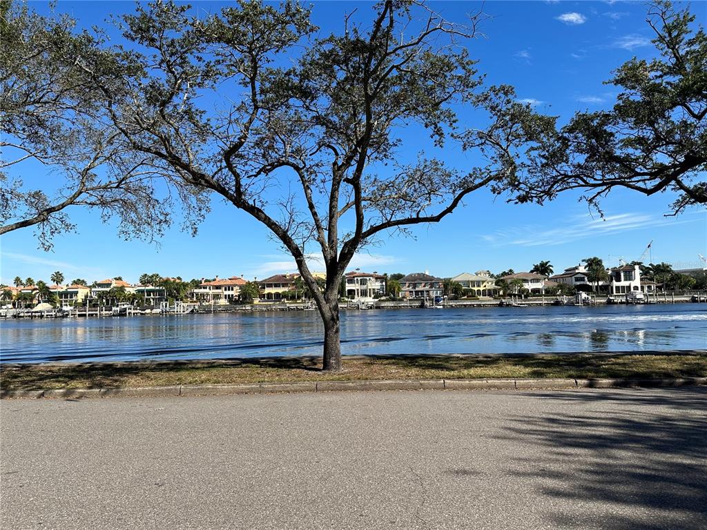 232 Channel Drive Tampa, FL 33606 - Photo 8 of 21 a view of an outdoor space with a lake view
