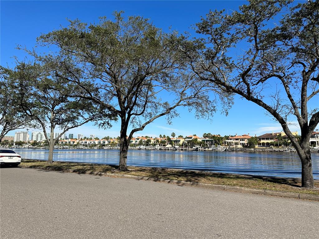 232 Channel Drive Tampa, FL 33606 - Photo 9 of 21 a view of a building with trees
