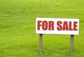 0 Millard Street Three Rivers, MI 49093 - Photo 1 of 1 vacant lot
