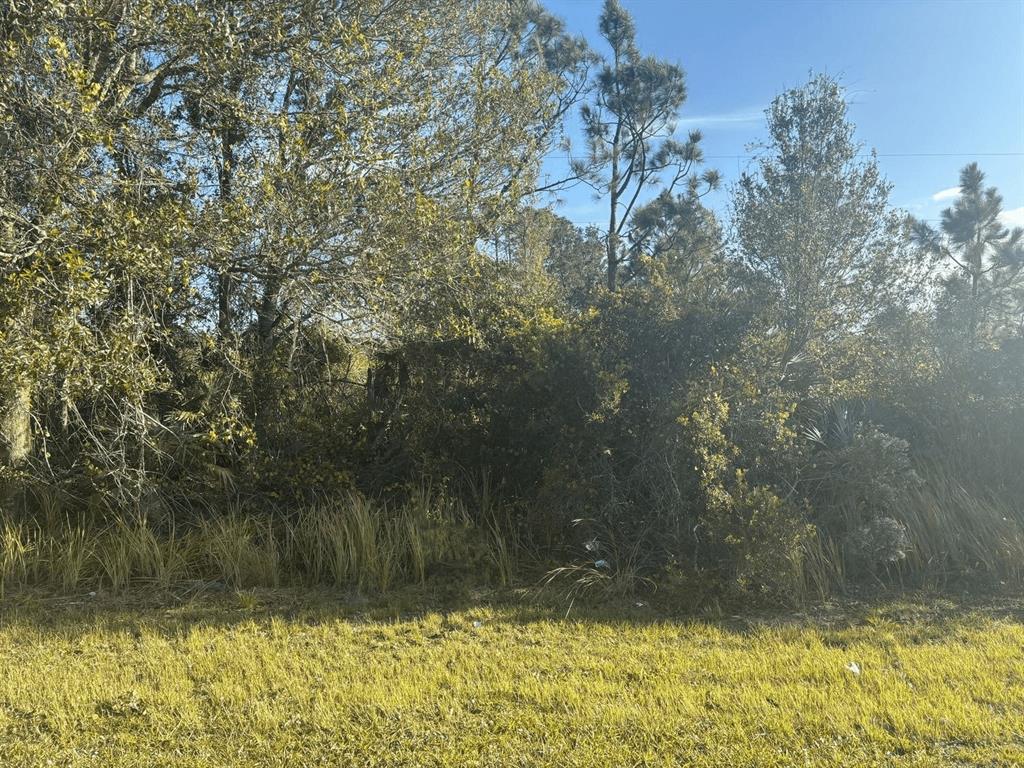 a view of swimming pool and yard