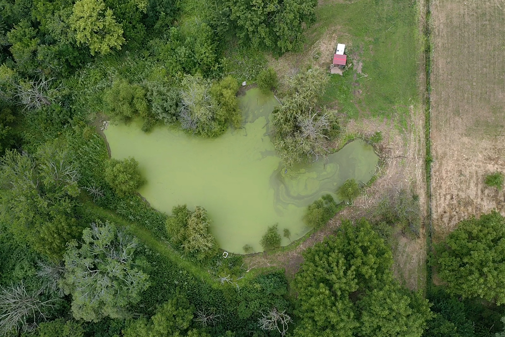 3741 East Chestnut Street Kankakee, IL 60901 - Photo 39 of 44 a backyard of a house with a yard and lake view