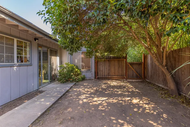 a view of a backyard with large trees and wooden fence