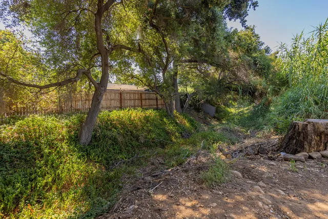 a view of backyard with green space