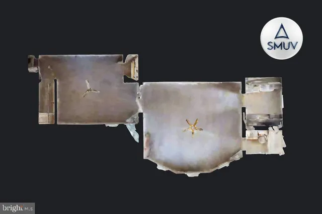 with a vase of flowers sitting on a table