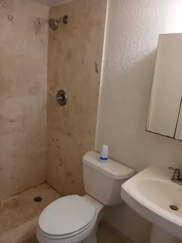 a white toilet and a shower in a bathroom