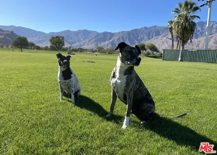 $688,000 | 3714 Calle San Raphael, Palm Springs, CA 92264