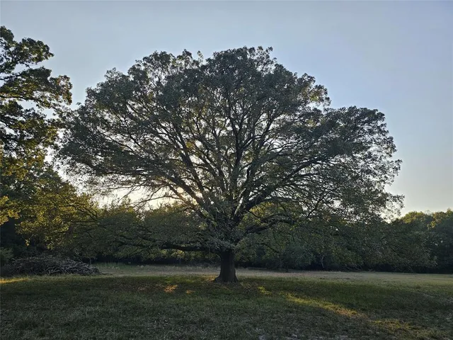 a view of a covered with snow in the background