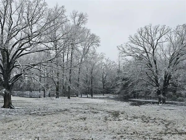 a close up of a flower in a garden