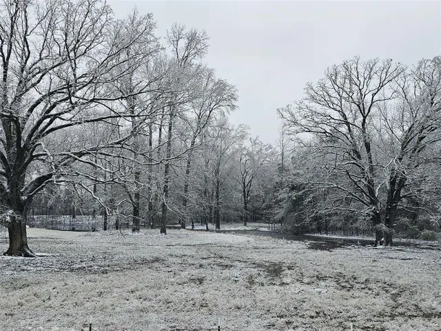 a close up of a flower in a garden