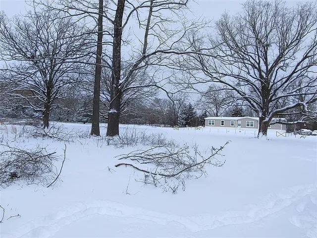a view of flowers in bunch