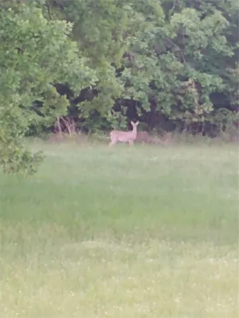 $577,000 | 1161 County Road 1935, Mount Pleasant, TX 75455