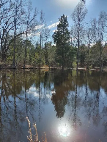 a body of water with a tree in the background