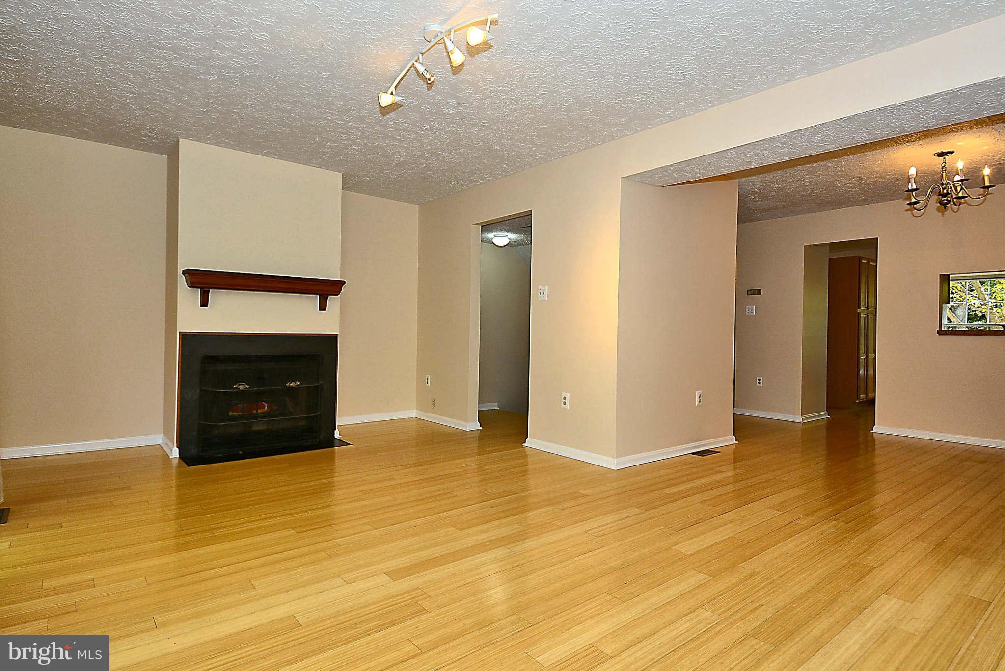 11457 Encore Drive Silver Spring, MD 20901 - Photo 9 of 27 a view of an empty room with wooden floor and a fireplace