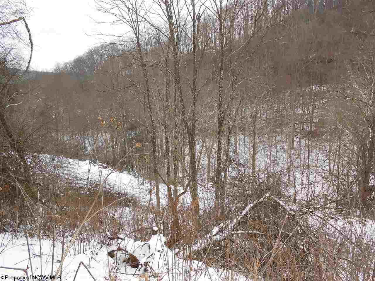 1 Pennington Road Dryfork, WV 26263 - Photo 2 of 19 Gallery Image 2