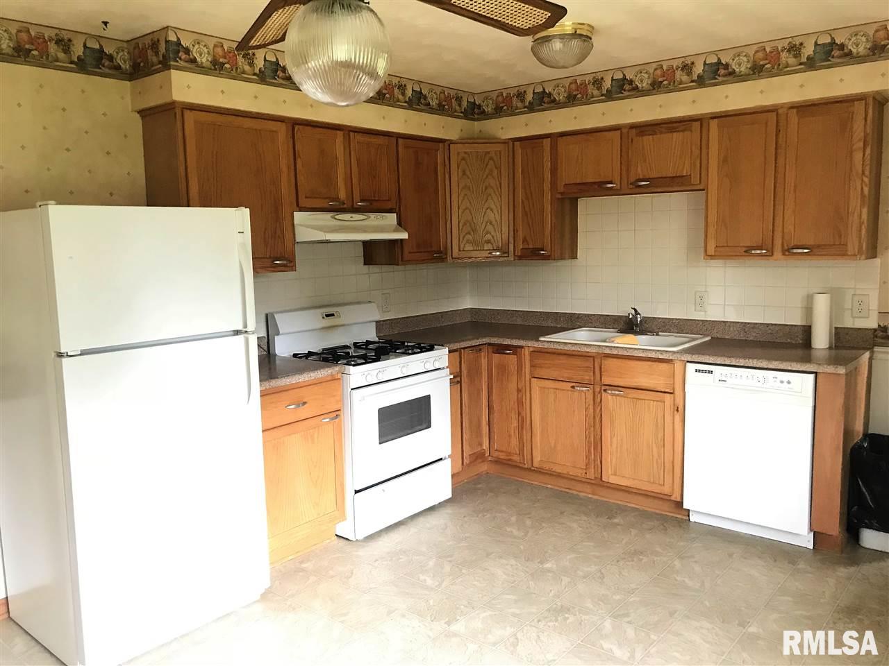 456 Docia Road Hillsdale, IL 61257 - Photo 5 of 8