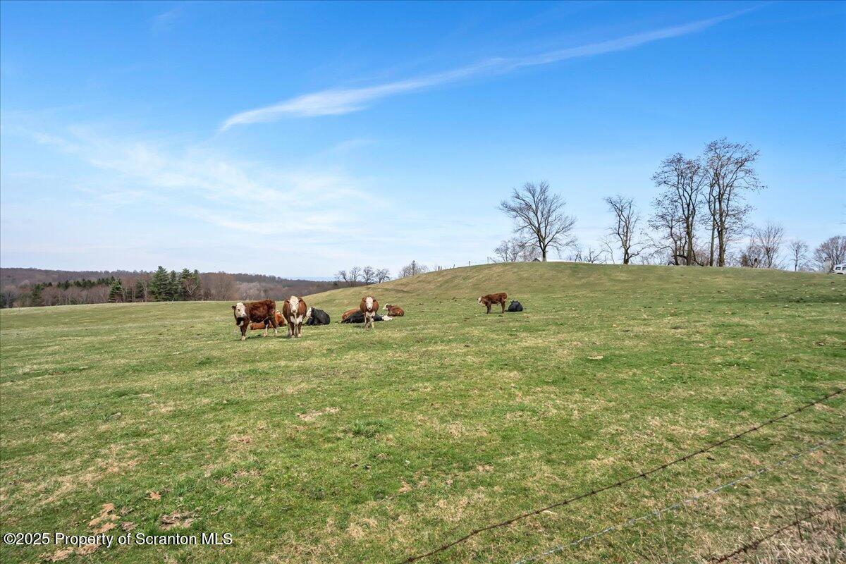 3330 Quicktown Road Moscow, PA 18444 - Photo 30 of 34 a view of a field with an trees