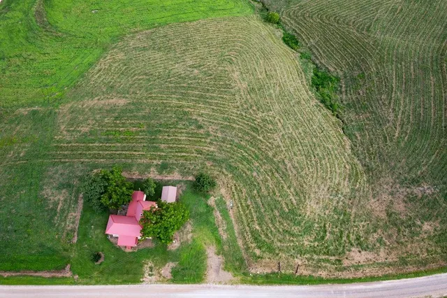a view of a garden with a building in the background