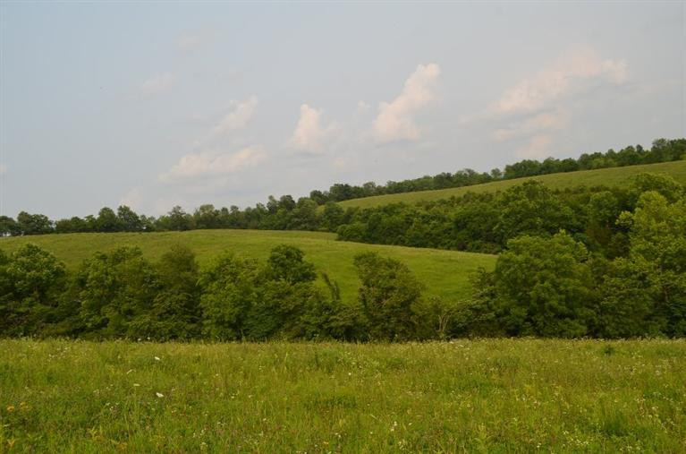 3162 Deep Creek Road Perryville, KY 40468 - Photo 10 of 21 Photo 10