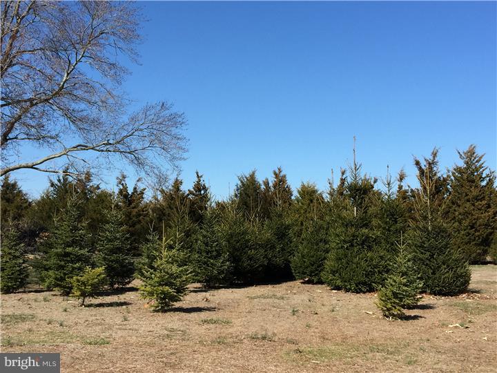 111 Haines Neck Road Mannington, NJ 08079 - Photo 9 of 9