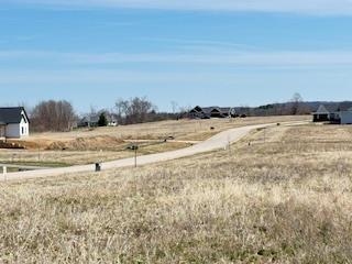 Lot 8 Betty Marie Way Merrimac, WI 53561 - Photo 32 of 32