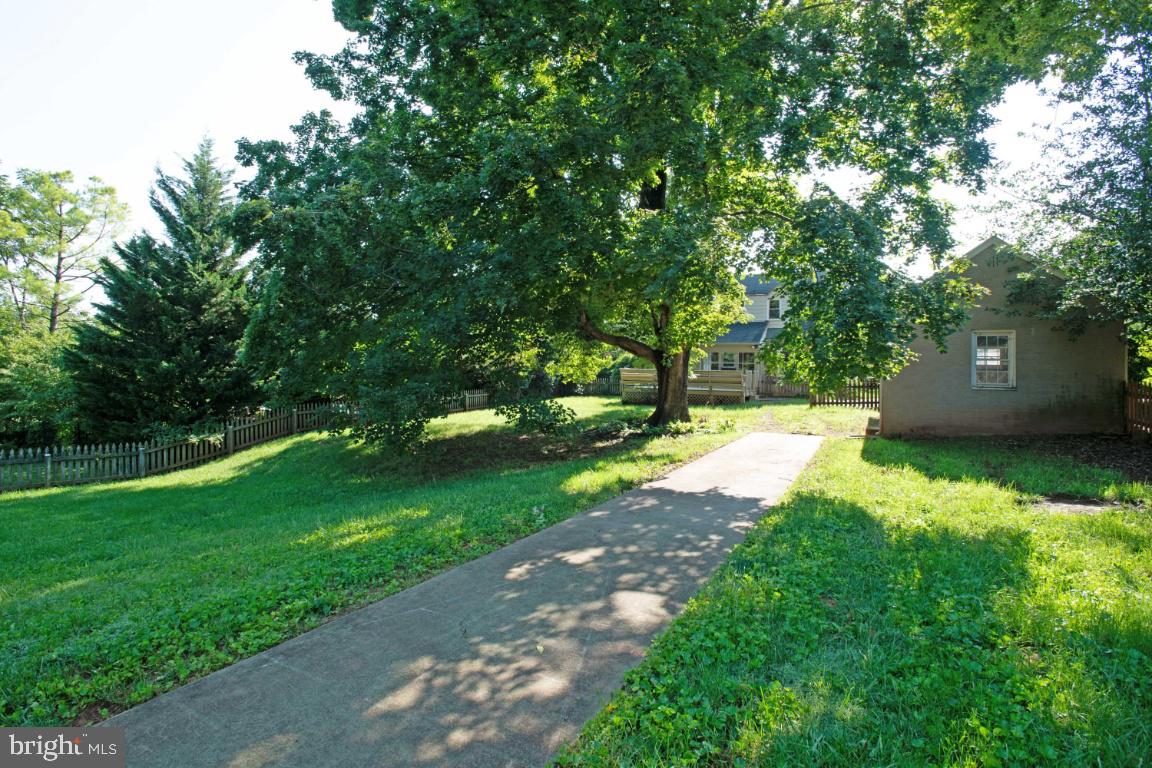 1136 South Blue Ridge Avenue Culpeper, VA 22701 - Photo 37 of 38 Backyard