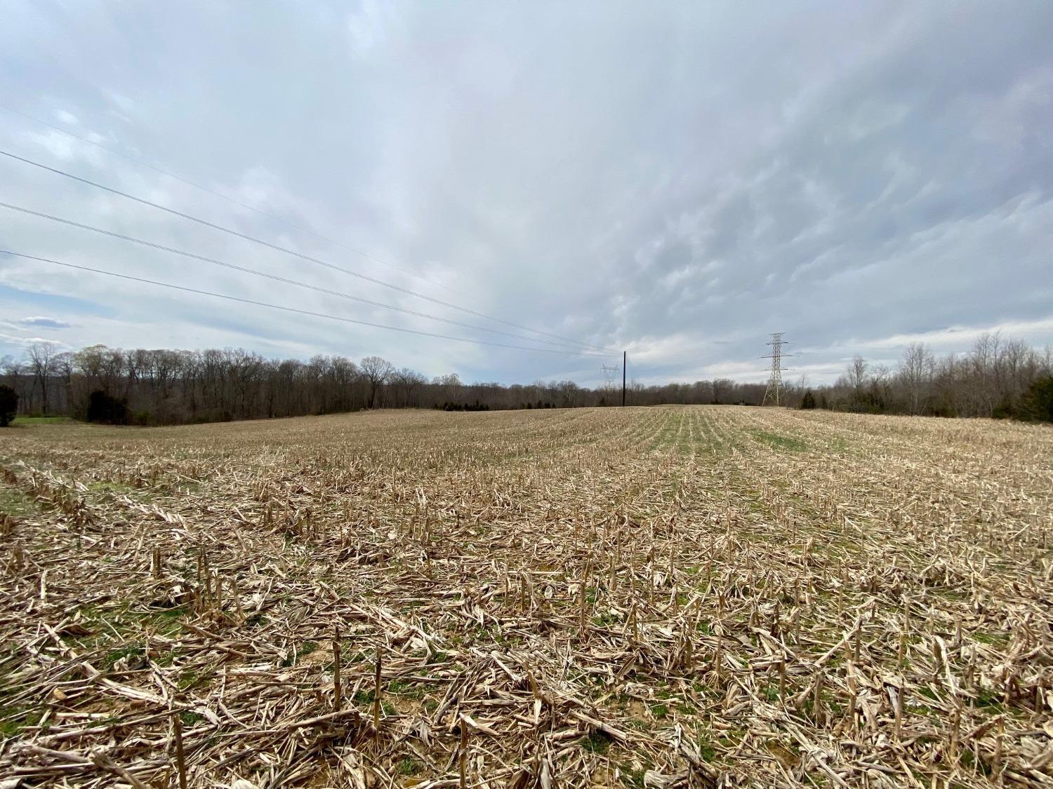 58.7-ac McCarty Road West Union, OH 45693 - Photo 10 of 17 Gallery Image 10