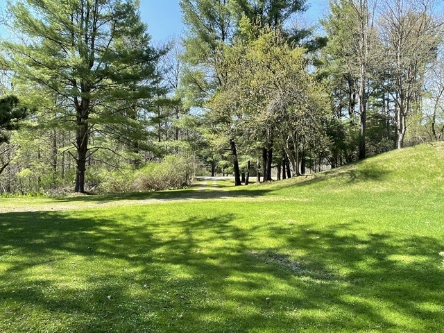 375 Log Cabin Road Victor, NY 14564 - Photo 21 of 23 Looking across the gravel driveway, toward Log Cab