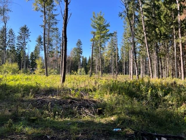 00 North 39th Road Lake City, MI 49651 - Photo 5 of 14