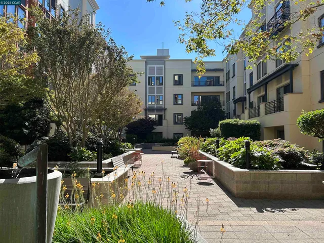 a view of a house with a yard and potted plants