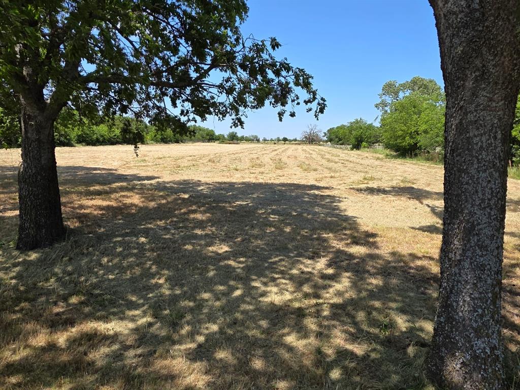 0 McCormick Road Oak Point, TX 75068 - Photo 3 of 5 a view of a yard with trees