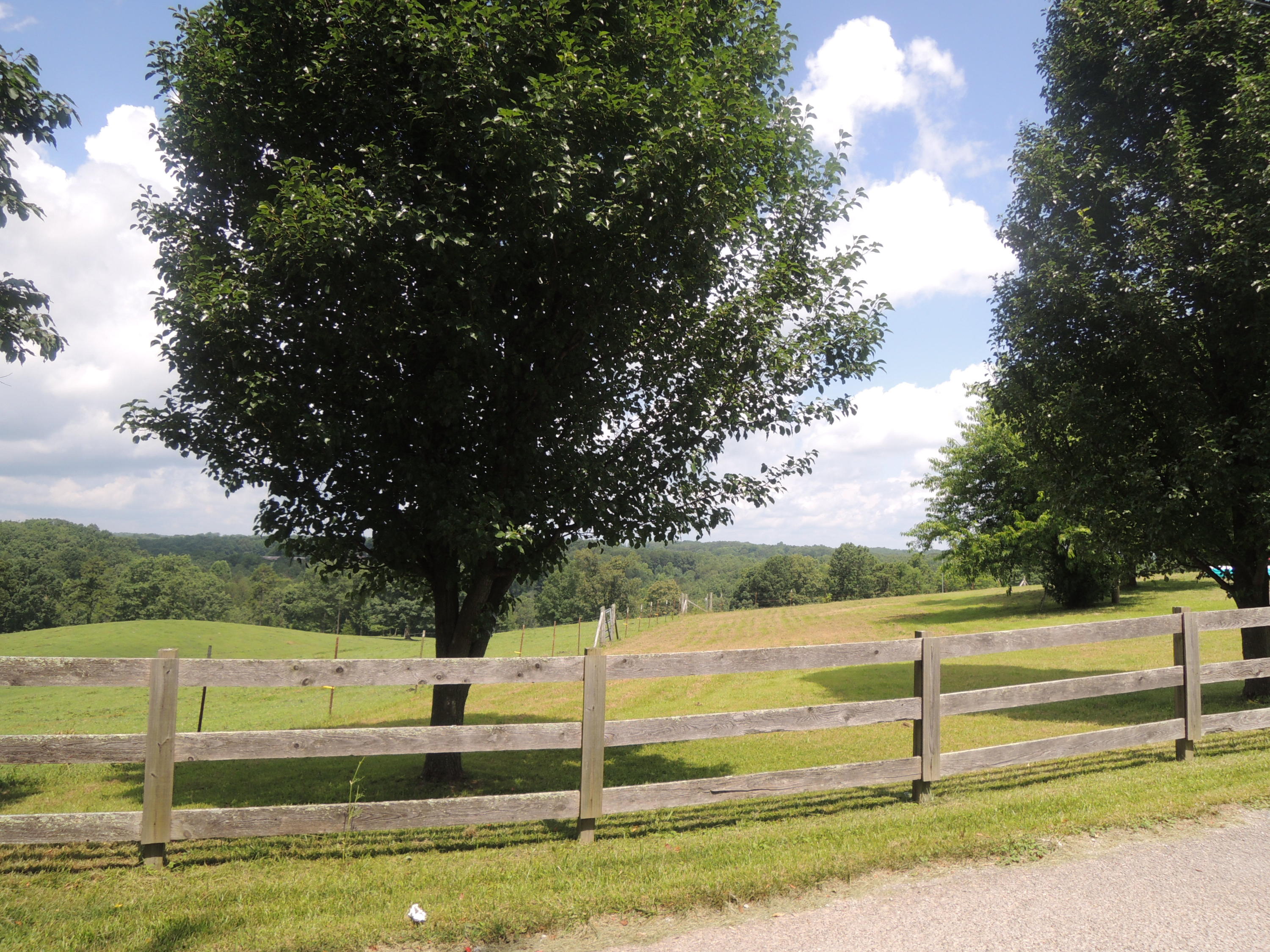 371 Billy Ridge Road Jamestown, TN 38556 - Photo 25 of 25 07-14-2017 050
