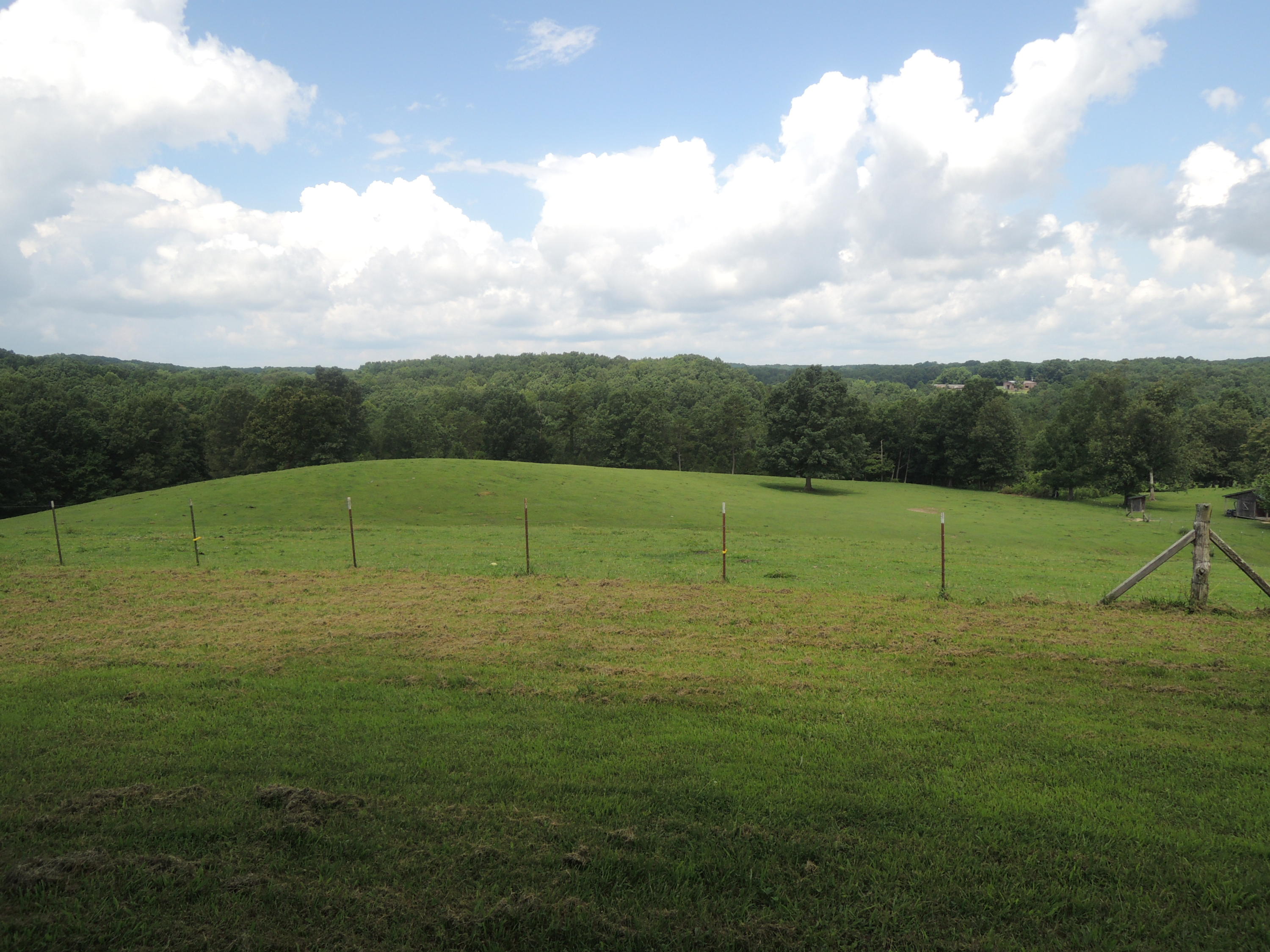 371 Billy Ridge Road Jamestown, TN 38556 - Photo 4 of 25 07-14-2017 029