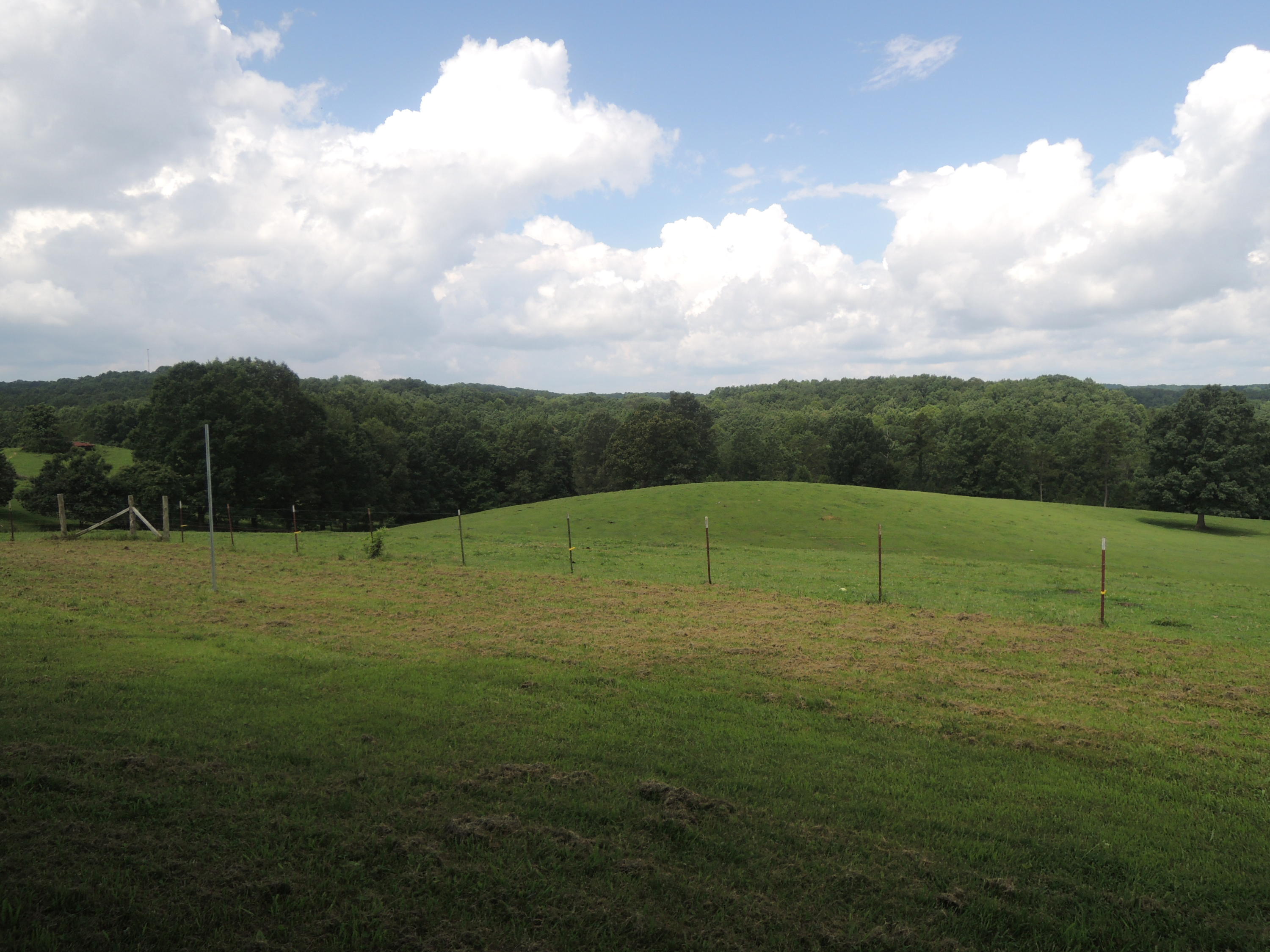 371 Billy Ridge Road Jamestown, TN 38556 - Photo 5 of 25 07-14-2017 030