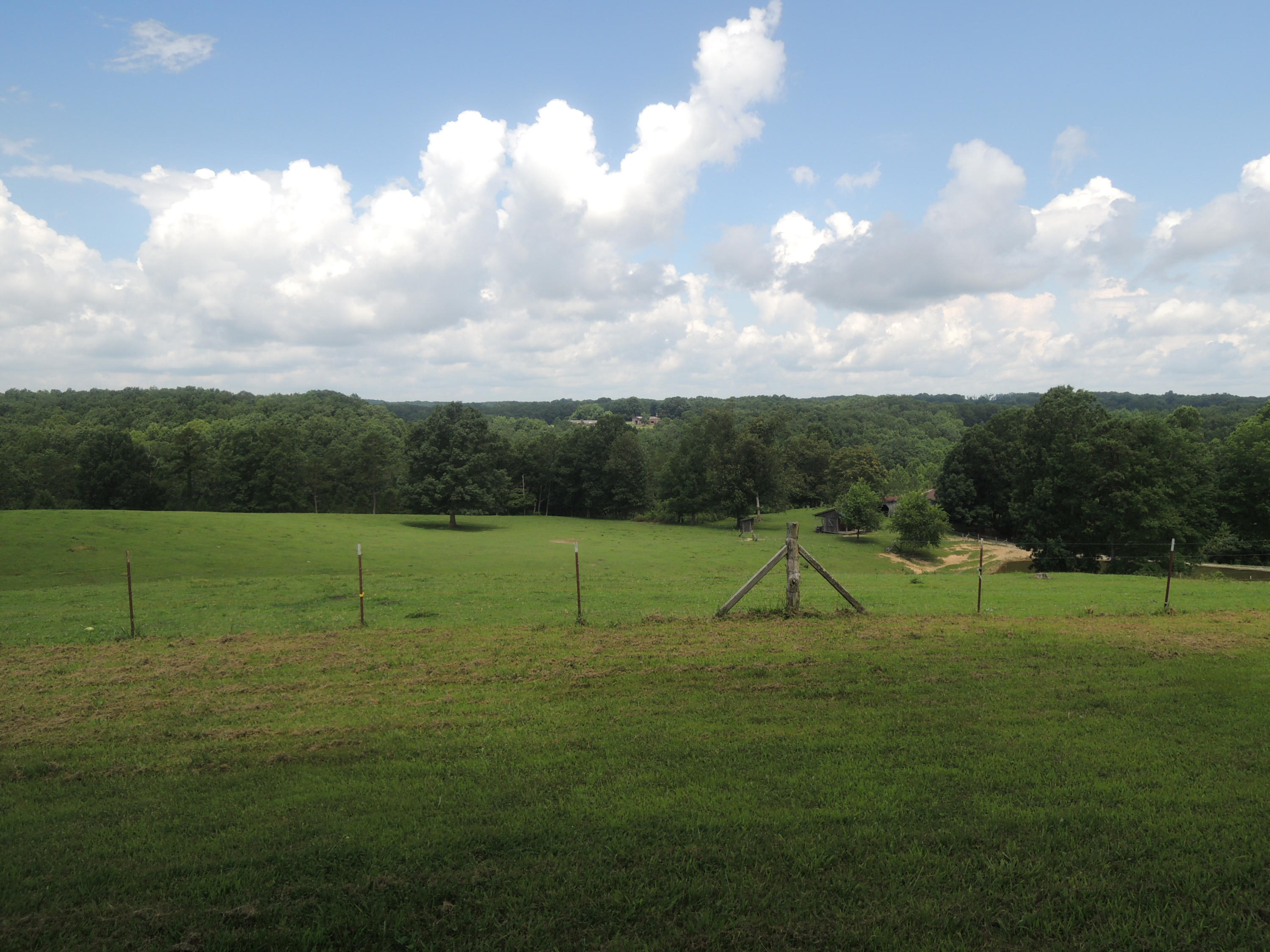 371 Billy Ridge Road Jamestown, TN 38556 - Photo 6 of 25 07-14-2017 031