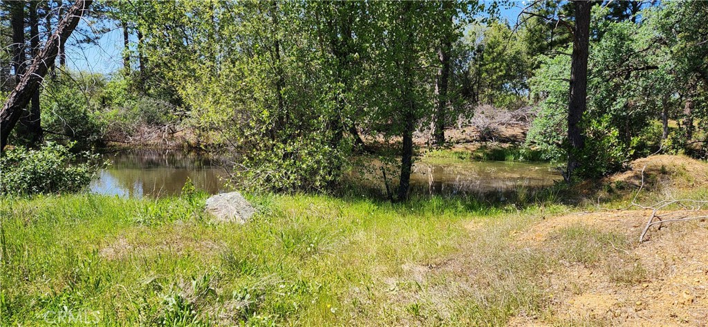 89 Crystal Pines Road Oroville, CA 95965 - Photo 32 of 46