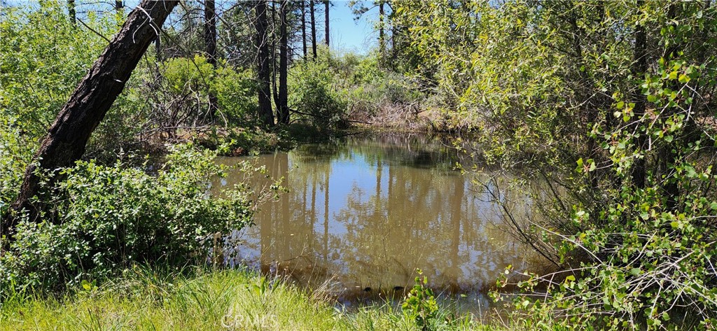 89 Crystal Pines Road Oroville, CA 95965 - Photo 33 of 46