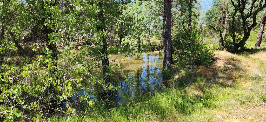 89 Crystal Pines Road Oroville, CA 95965 - Photo 34 of 46