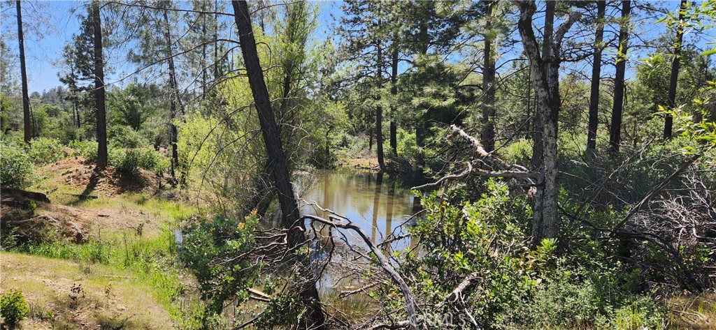 89 Crystal Pines Road Oroville, CA 95965 - Photo 35 of 46