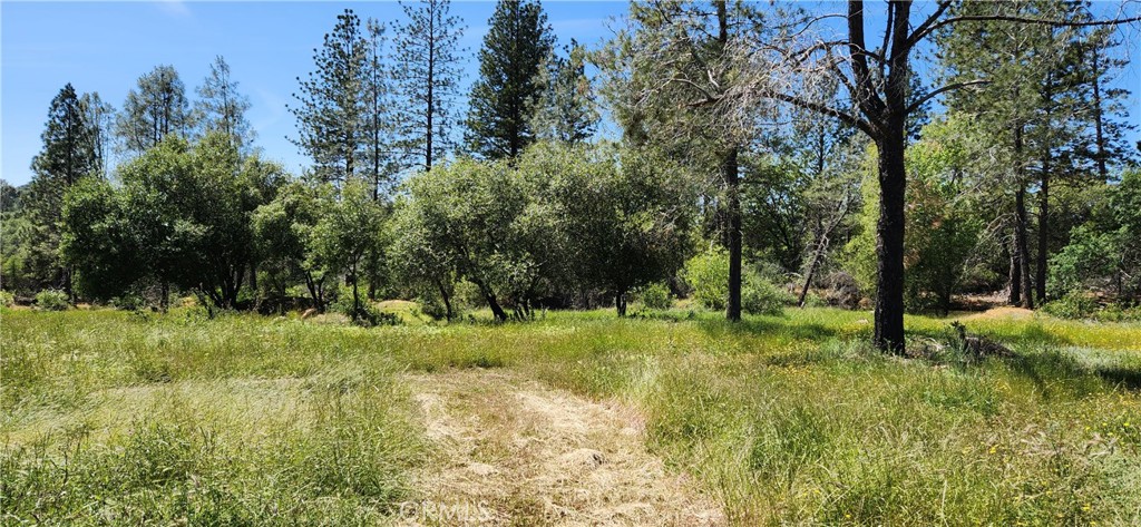 89 Crystal Pines Road Oroville, CA 95965 - Photo 35 of 52