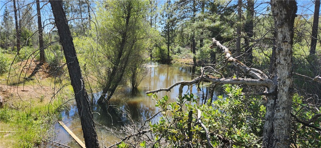 89 Crystal Pines Road Oroville, CA 95965 - Photo 36 of 46