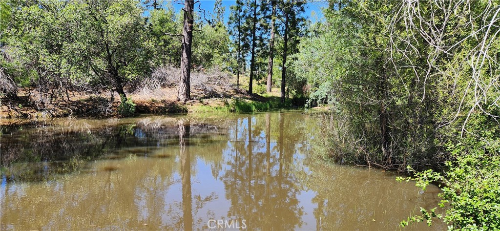 89 Crystal Pines Road Oroville, CA 95965 - Photo 37 of 46