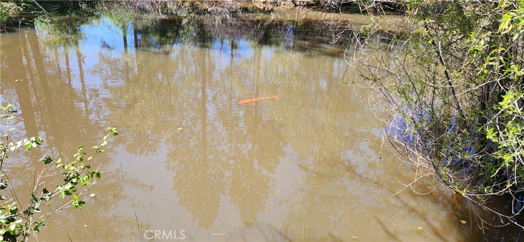 89 Crystal Pines Road Oroville, CA 95965 - Photo 38 of 46