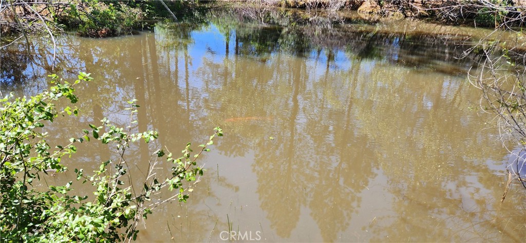 89 Crystal Pines Road Oroville, CA 95965 - Photo 39 of 46