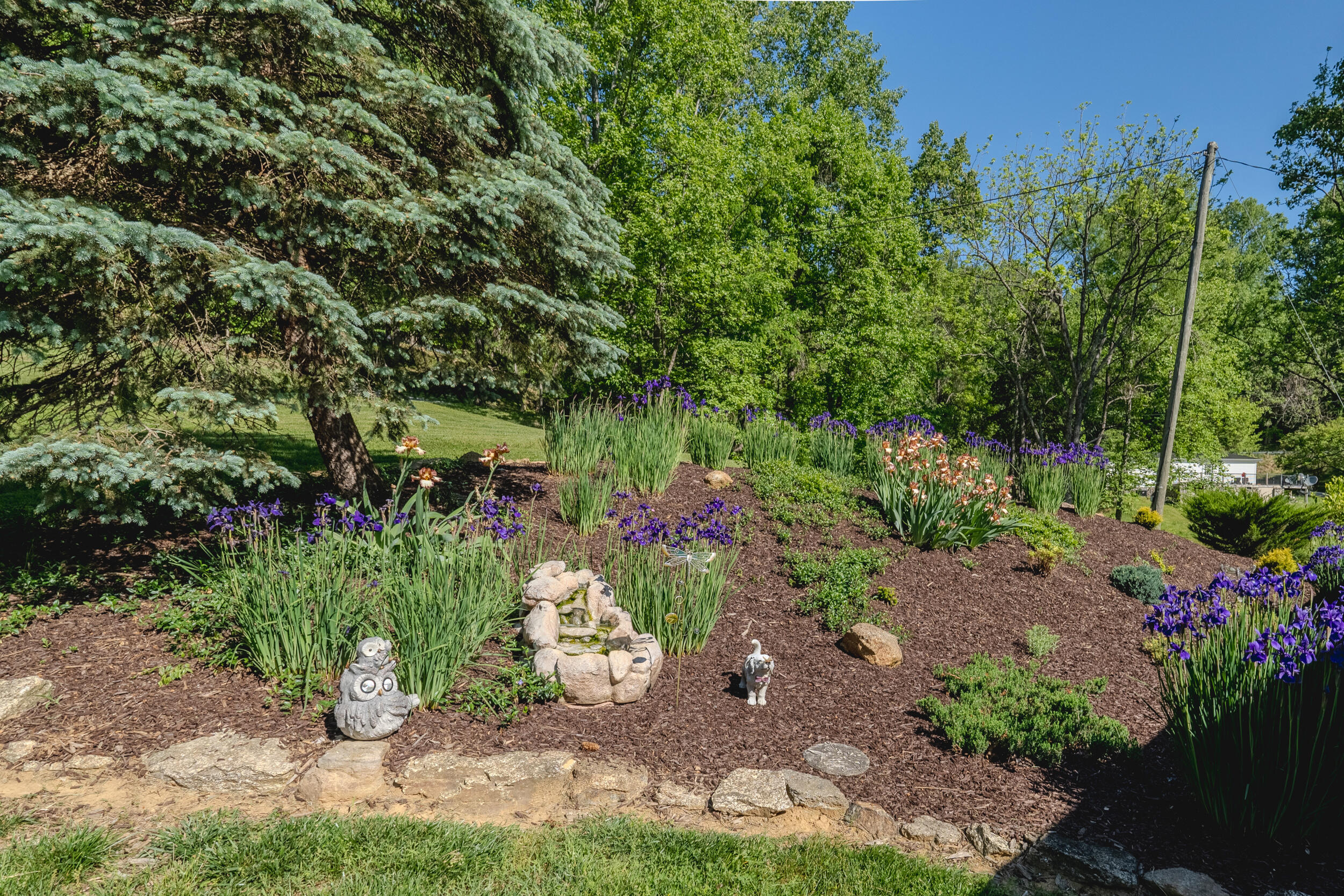2100 Nemmo Road Vinton, VA 24179 - Photo 18 of 38 a view of a garden with a fountain
