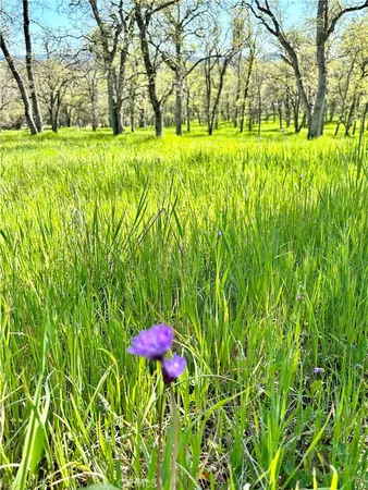 $389,990 | 18461 Old Wards Ferry Road, Sonora, CA 95370