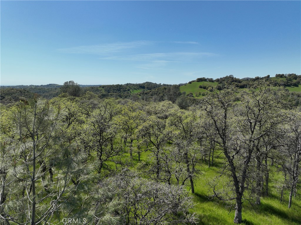 18461 Old Wards Ferry Road Sonora, CA 95370 - Photo 6 of 14