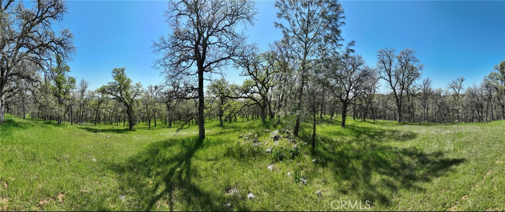 18461 Old Wards Ferry Road Sonora, CA 95370 - Photo 7 of 14