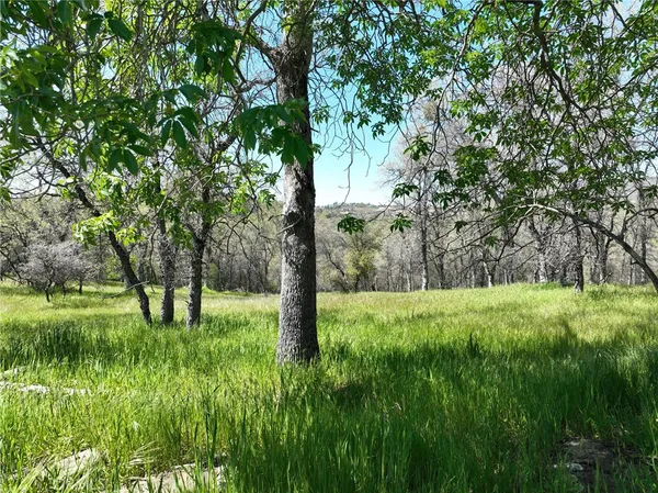 a view of backyard with green space