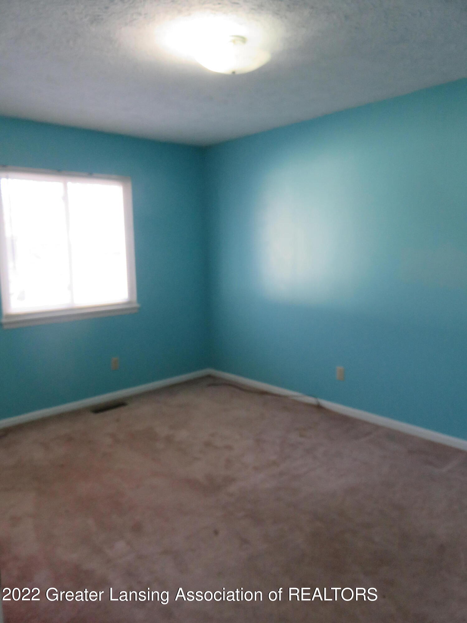 5313 Hughes Road Lansing, MI 48911 - Photo 21 of 33 IMG_3688
